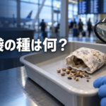 『大空港』香り袋の種は何？紬とノアが検査された理由を解説